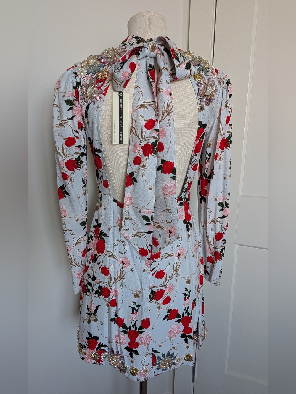 NWT TopShop Light Blue Red Pink Rose Skater Beaded Jewel Floral Dress 4 - Picture 10 of 14